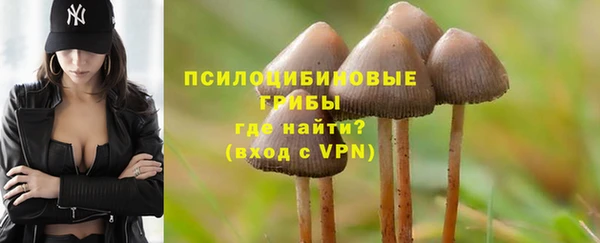 индика Беломорск