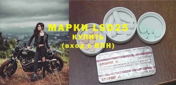 индика Беломорск