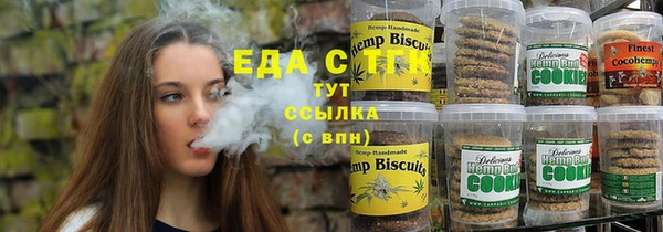 индика Беломорск