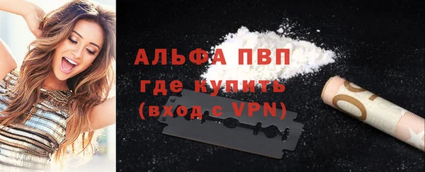 стаф Белокуриха